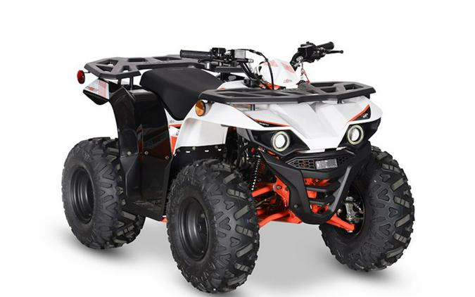 2025 Kayo Bull 125 EFI
