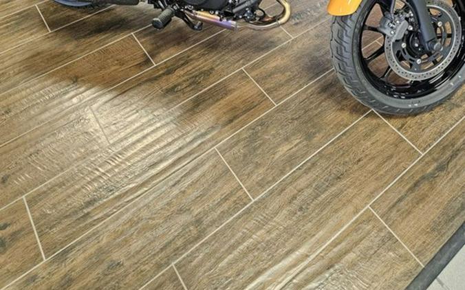 2024 Kawasaki Eliminator® SE ABS