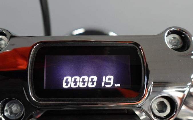 2024 Harley-Davidson Softail Standard