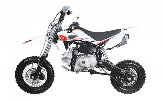 2022 Pitster Pro XJR 110 MAN