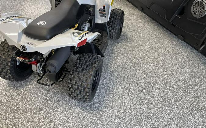 2026 Can-Am RENEGADE 2X4 70-4ST - CATALYST GRAY ATV