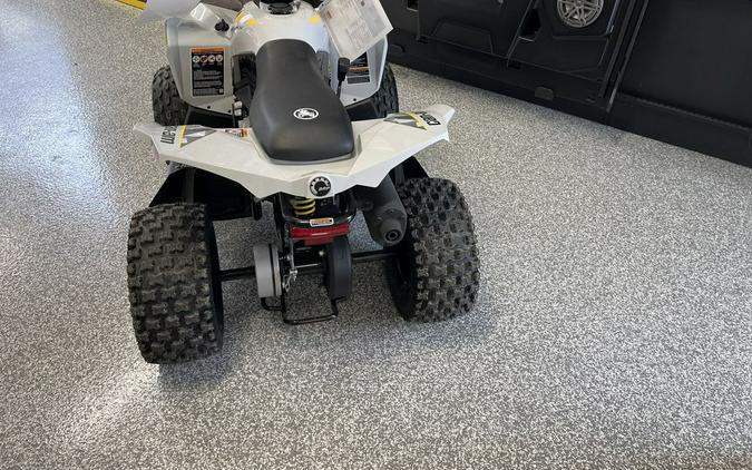 2026 Can-Am RENEGADE 2X4 70-4ST - CATALYST GRAY ATV