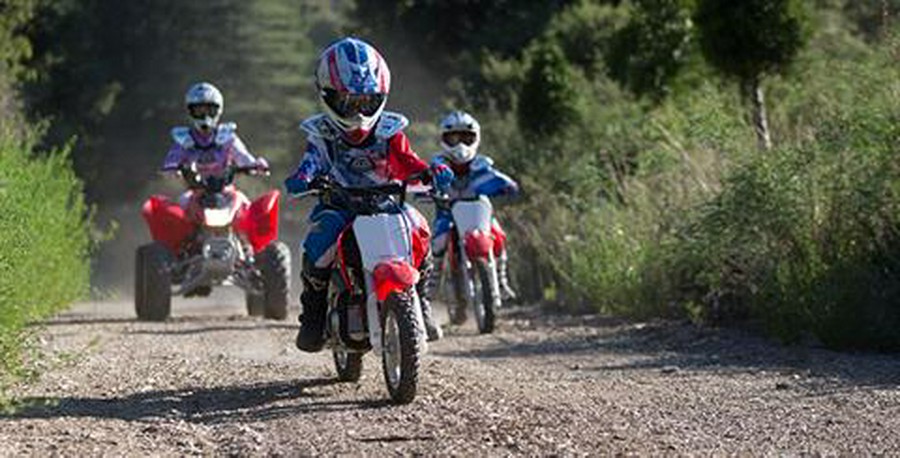 2019 Honda CRF50F