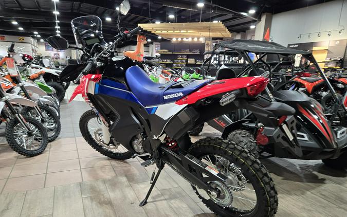2025 HONDA CRF300L RALLY ABS