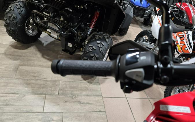 2025 HONDA CRF300L RALLY ABS