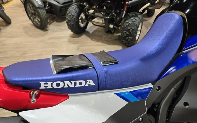 2025 HONDA CRF300L RALLY ABS