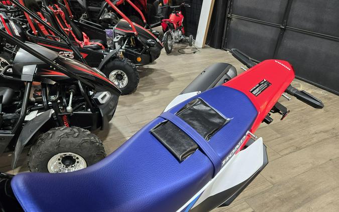 2025 HONDA CRF300L RALLY ABS