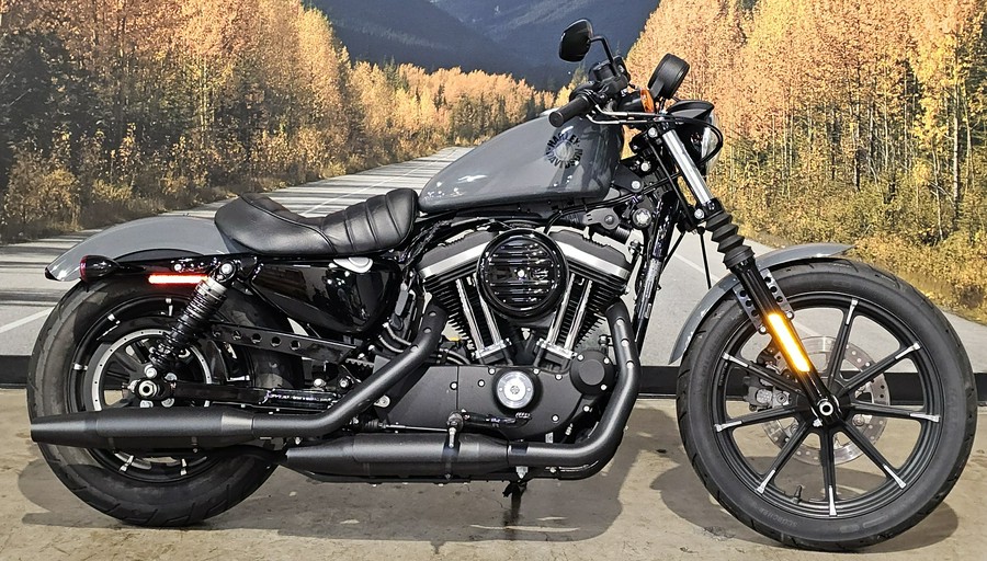 2022 Harley-davidson Sportster Iron 883