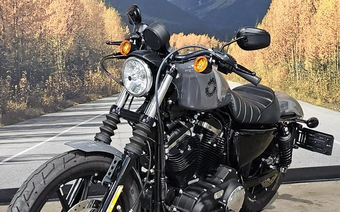 2022 Harley-davidson Sportster Iron 883