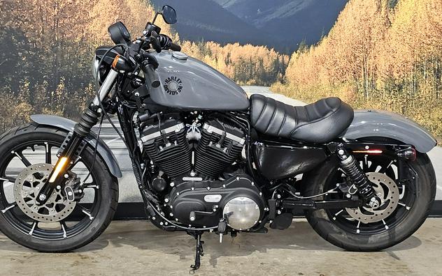 2022 Harley-davidson Sportster Iron 883