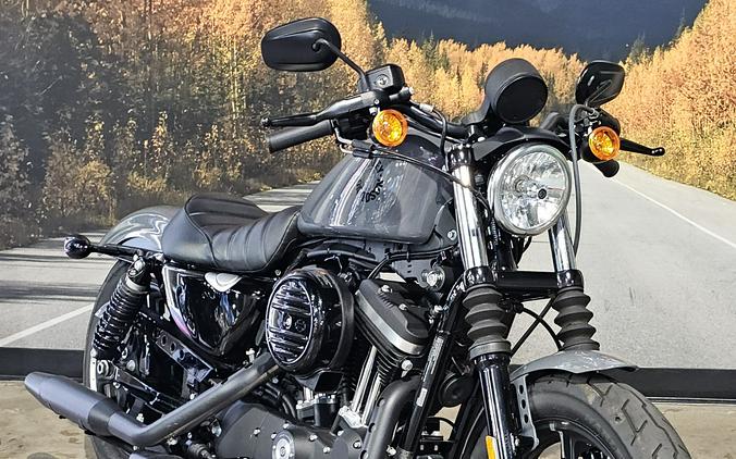 2022 Harley-davidson Sportster Iron 883