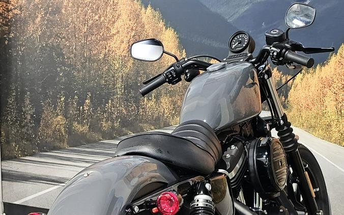 2022 Harley-davidson Sportster Iron 883