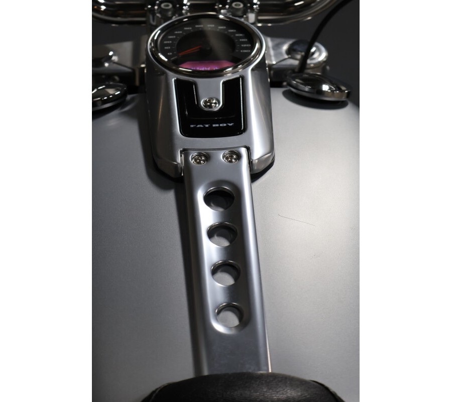 2020 Harley-Davidson Fat Boy 114