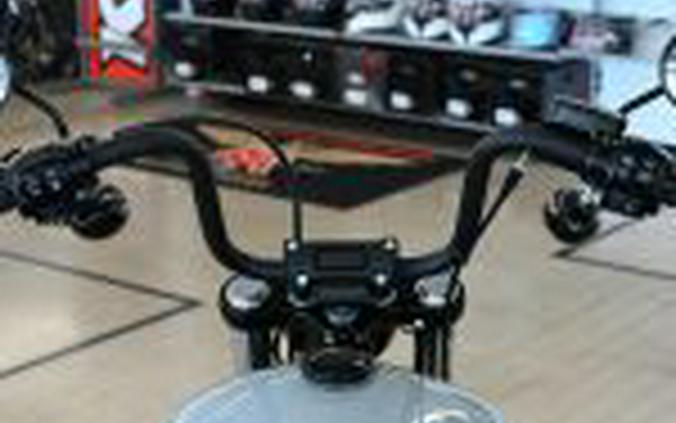 2024 Harley Davidson FXBBS Street Bob 114