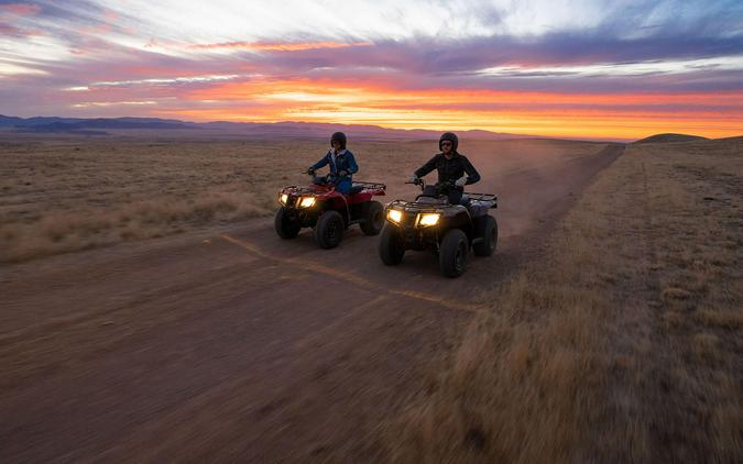 2022 Honda FourTrax Recon