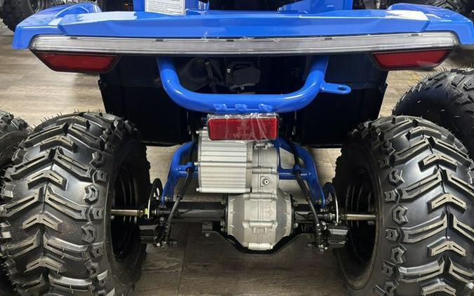 2026 Denago Powersports E-Hawk 6
