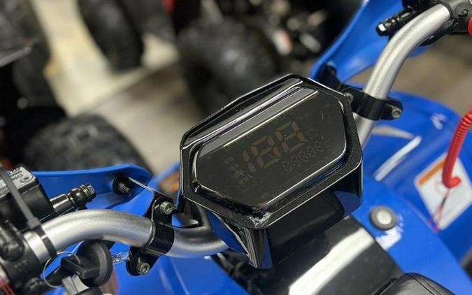 2026 Denago Powersports E-Hawk 6
