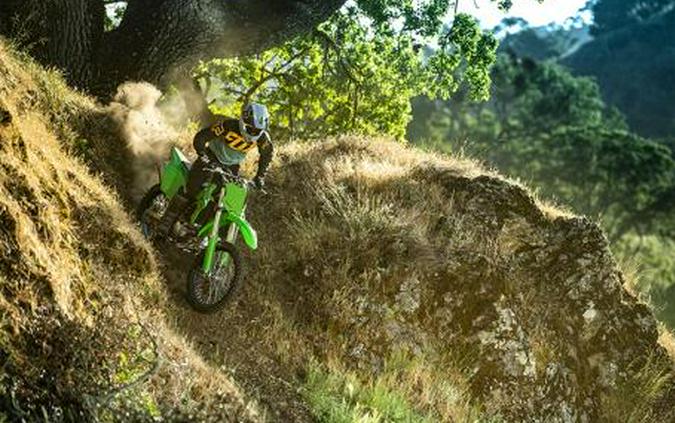2025 Kawasaki KLX® 300R