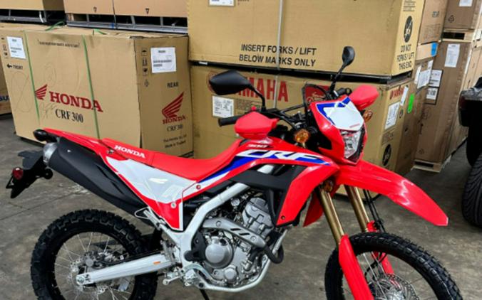 2023 Honda CRF300LS Review (A Dozen Dual-Sport Fast Facts)