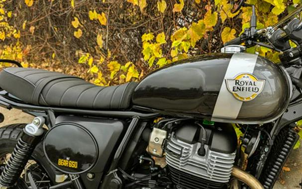 2025 Royal Enfield INT BEAR 650