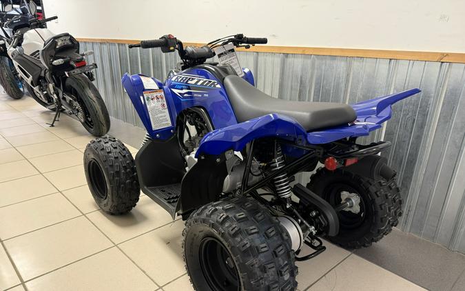 2026 Yamaha Raptor 110