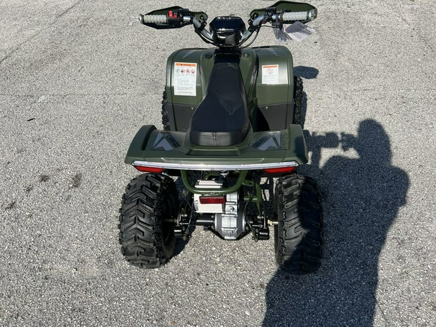 2025 Denago Powersports E-Hawk 6