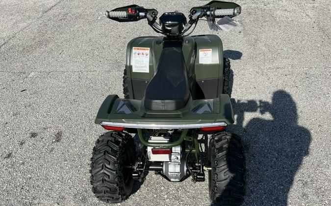 2025 Denago Powersports E-Hawk 6