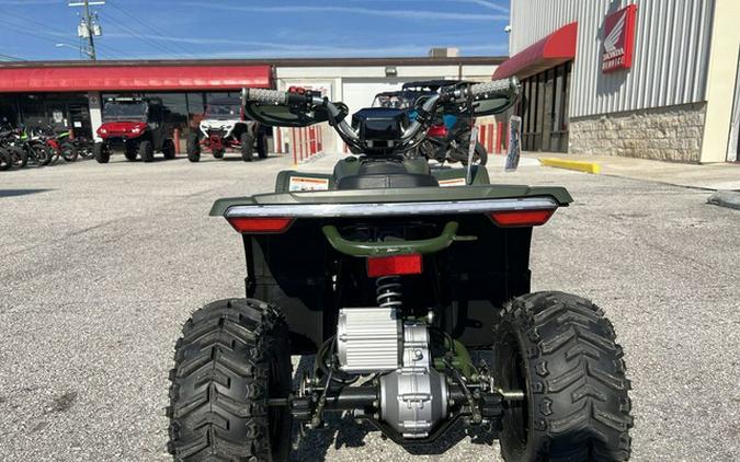 2025 Denago Powersports E-Hawk 6