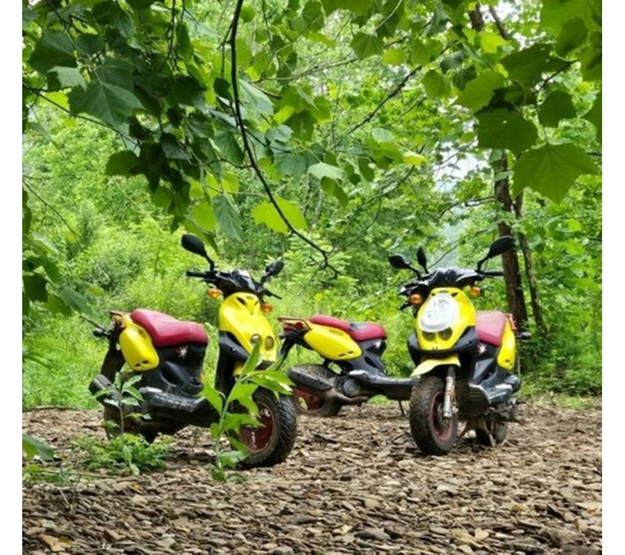 2006 Genuine Black Cat 50