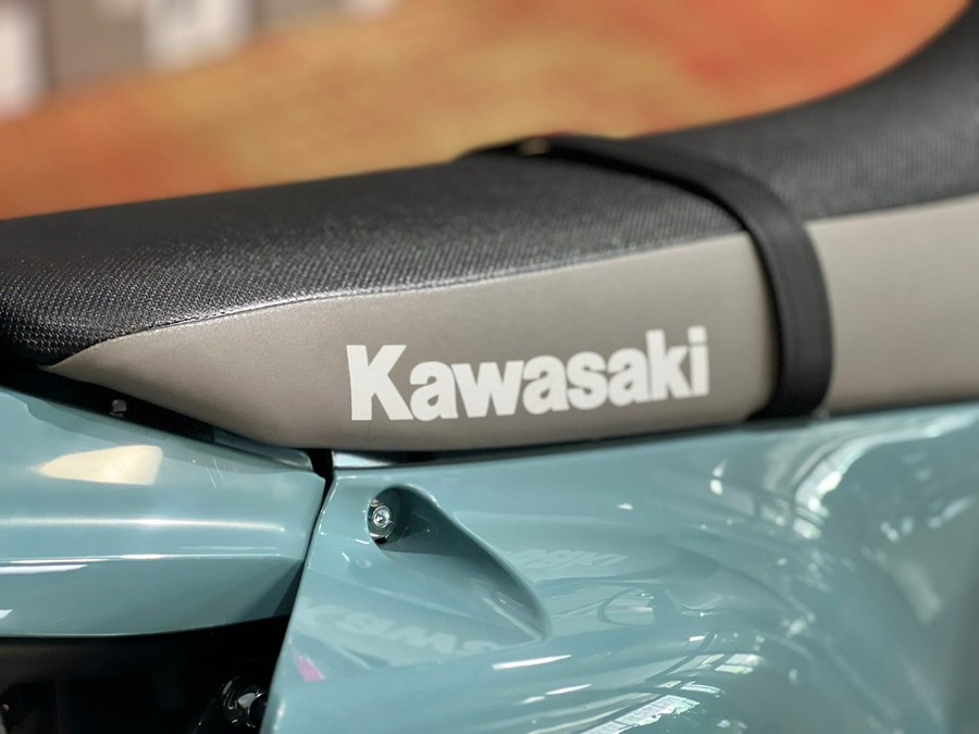 2025 Kawasaki KLX 300SM