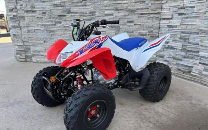 2026 Honda® TRX250X