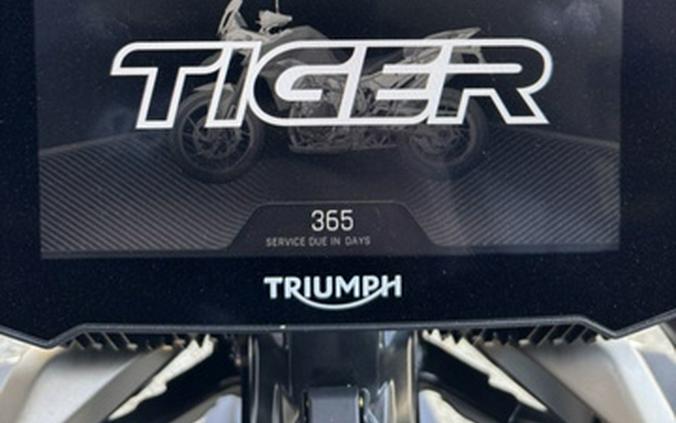 2023 Triumph Tiger 900 Rally Pro Sandstorm