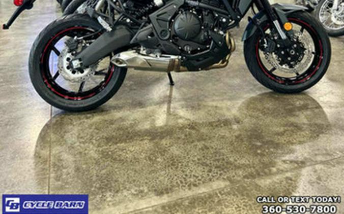 2024 Kawasaki Versys 650 LT ABS