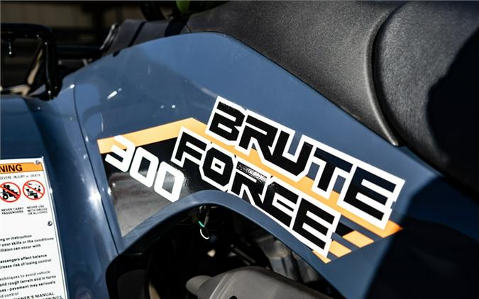 2024 Kawasaki Brute Force 300