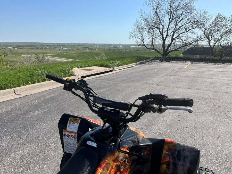 2008 Suzuki QuadRacer LT-R450 Special Edition