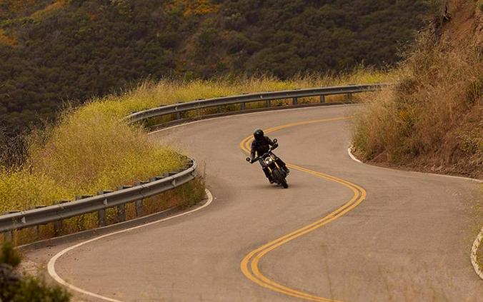 2025 Triumph Speed 400