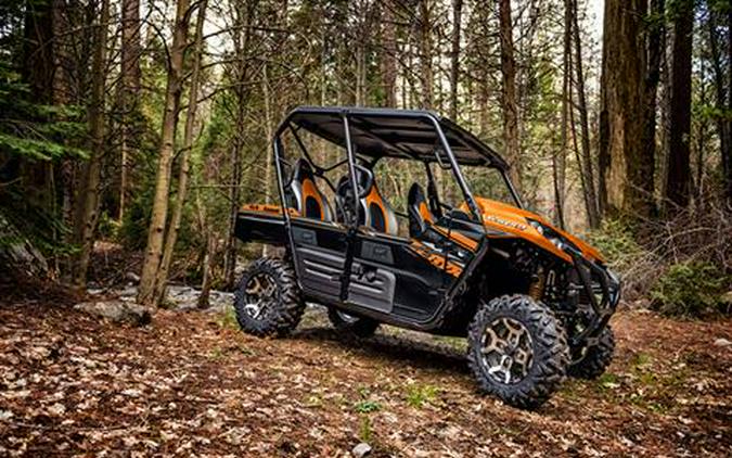 2019 Kawasaki Teryx4 LE