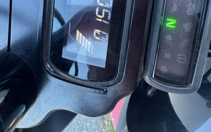 2019 Harley-Davidson Softail® Street Bob®