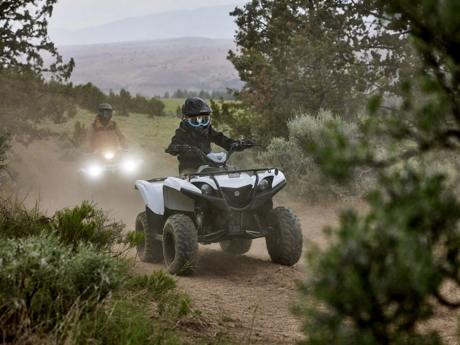 2024 Yamaha Grizzly 90