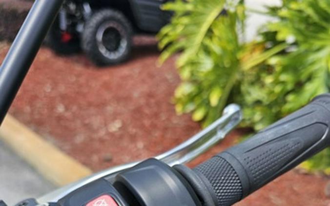 2024 TRIUMPH Scrambler 1200 X Ash Grey