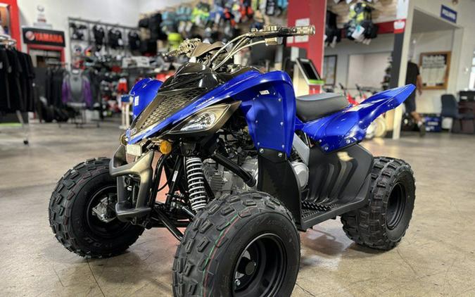 2026 Yamaha Raptor 110
