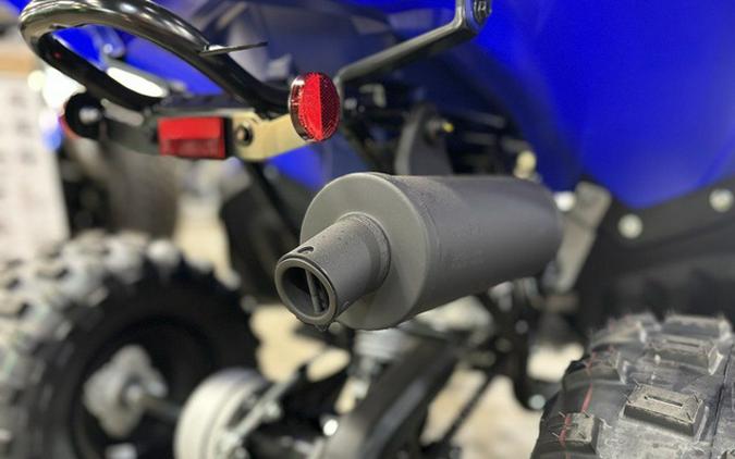 2026 Yamaha Raptor 110