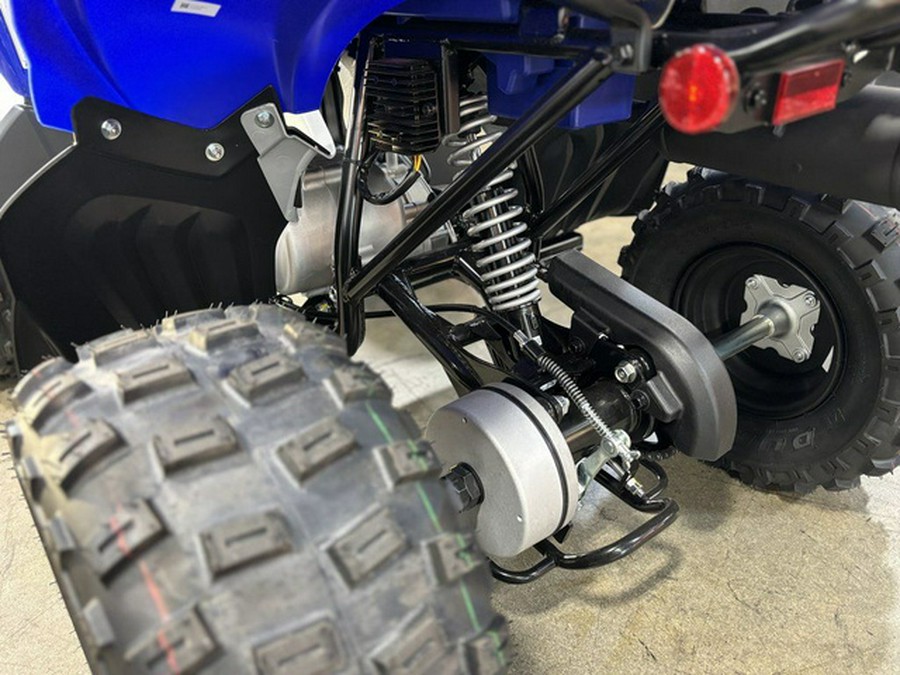 2026 Yamaha Raptor 110