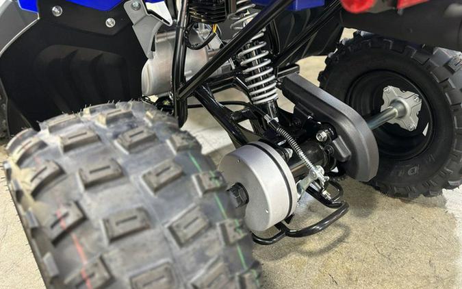 2026 Yamaha Raptor 110
