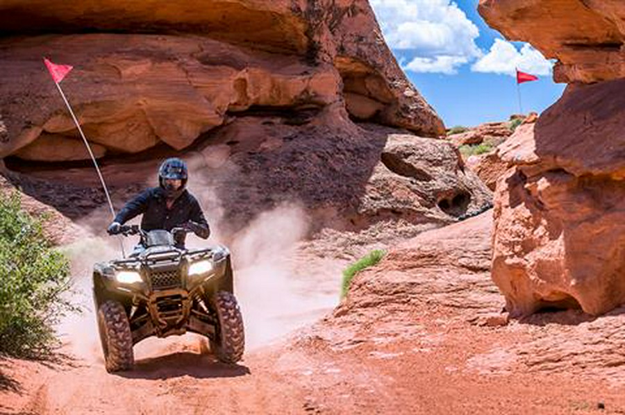 2021 Honda FourTrax Rancher 4x4 ES