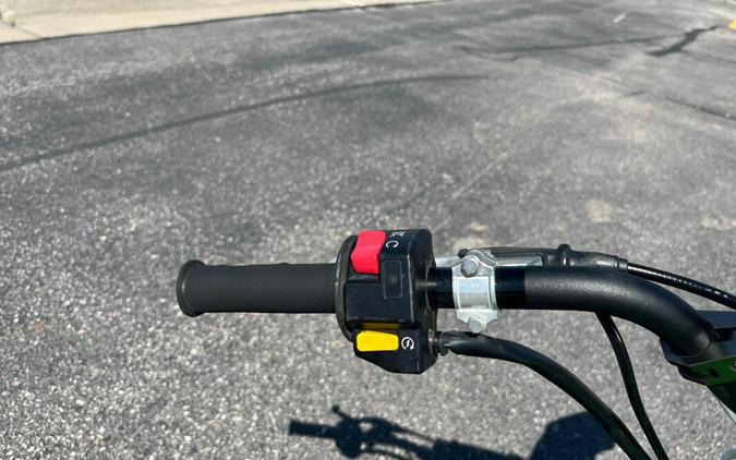 2022 Kawasaki KLX®110R L