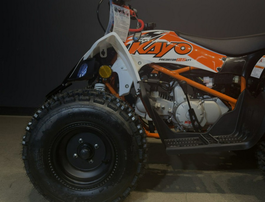 2026 Kayo A300-D