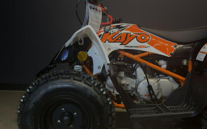 2026 Kayo A300-D