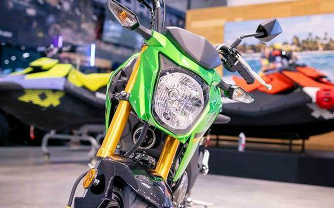 2024 Kawasaki Z125 PRO