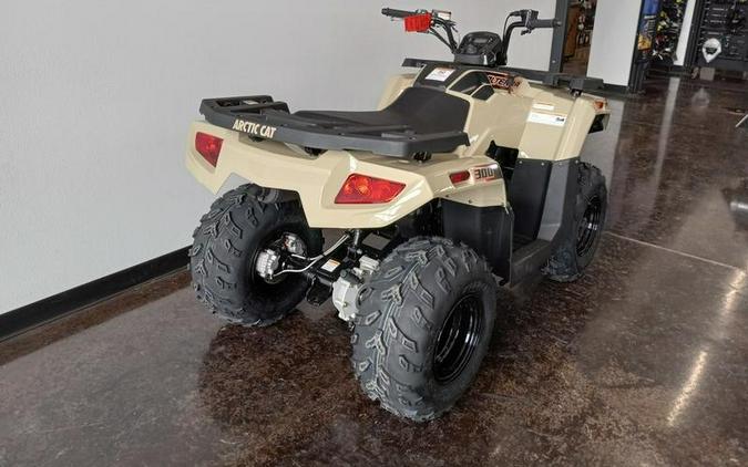 2023 Arctic Cat® Alterra 300